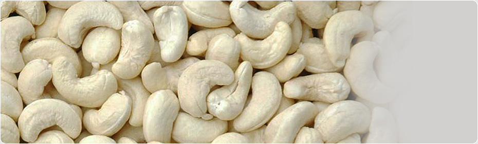 cashews