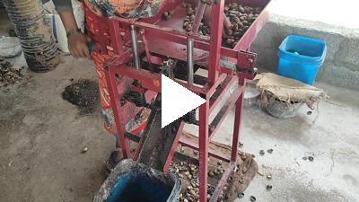 Cashew Processing 3